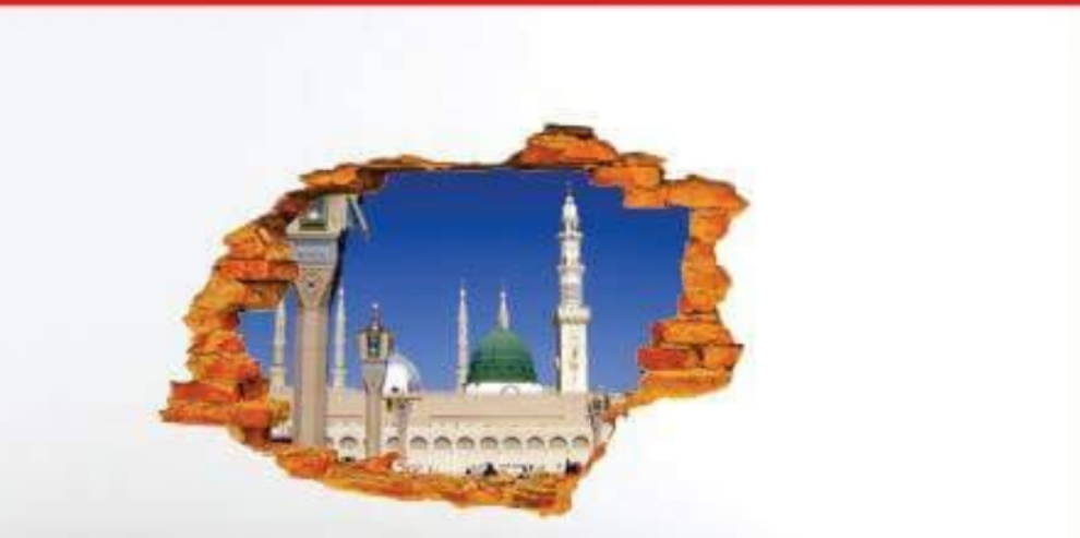 3d VINYL WALL ART | 3D LOOK VINYL WALL STICKER